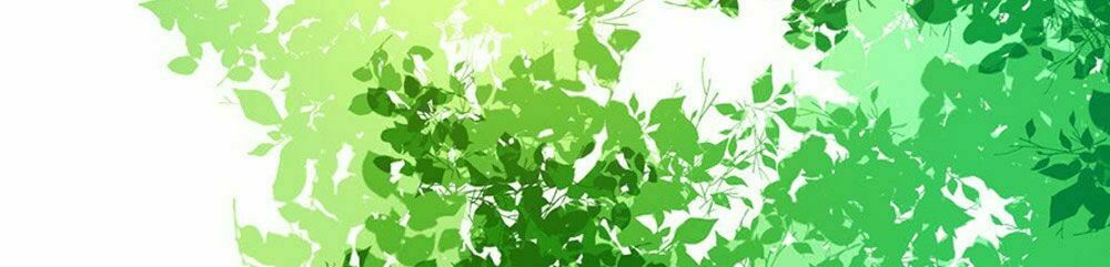 luyến đường thời quang chapter 38 33