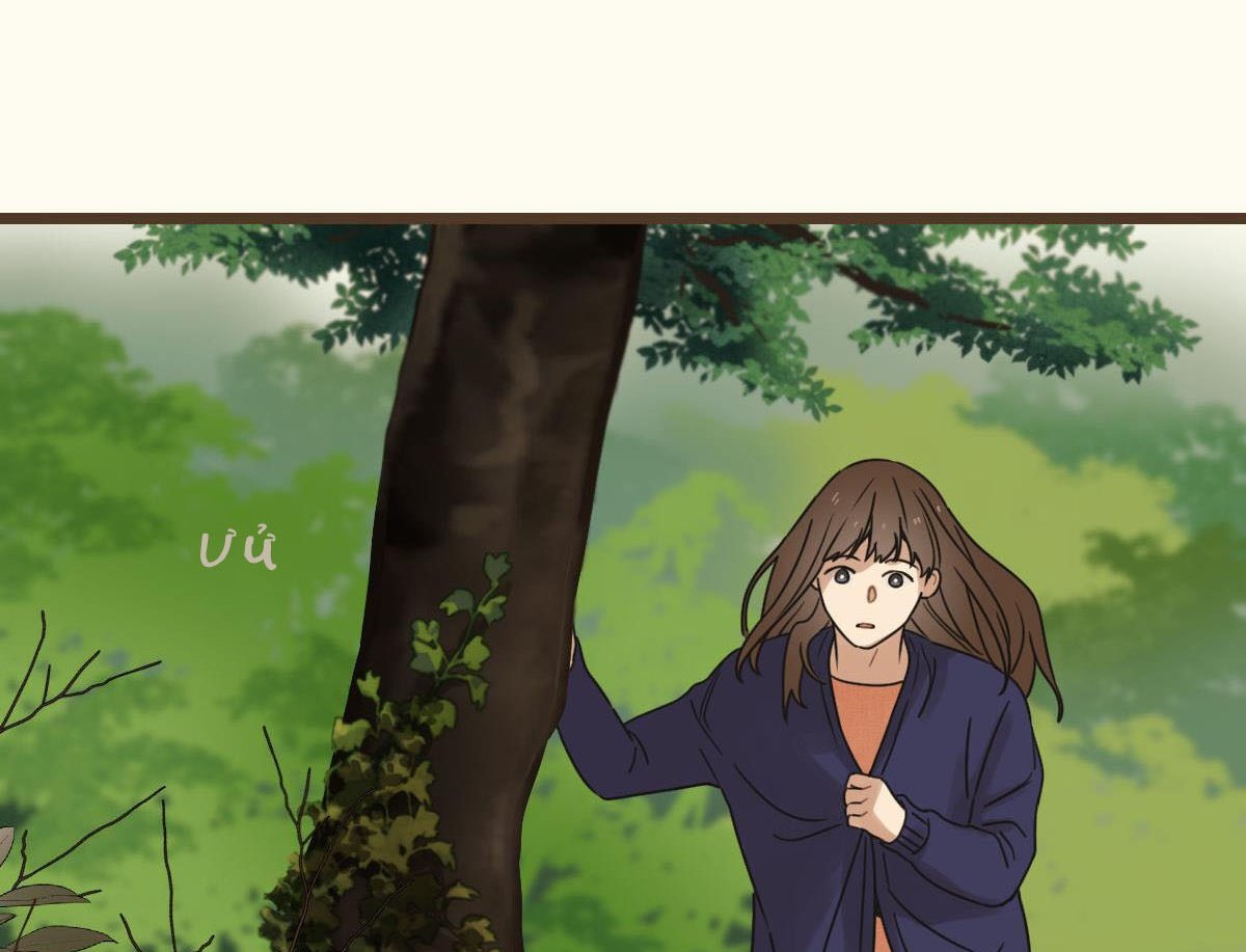 tương phùng chapter 37 236