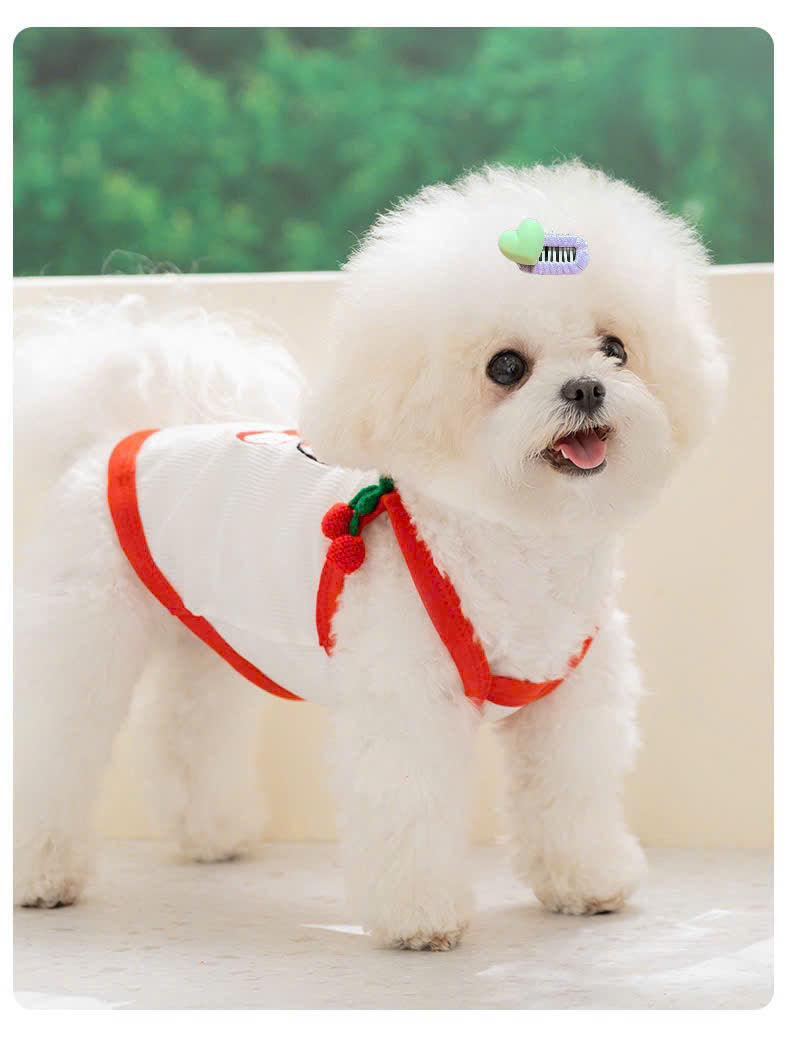 NƠ KẸP TÓC BUỘC TÓC CÀI TÓC TRÁI TIM THỜI TRANG DỄ THƯƠNG MÃ 36 CHO THÚ CƯNG CHÓ MÈO