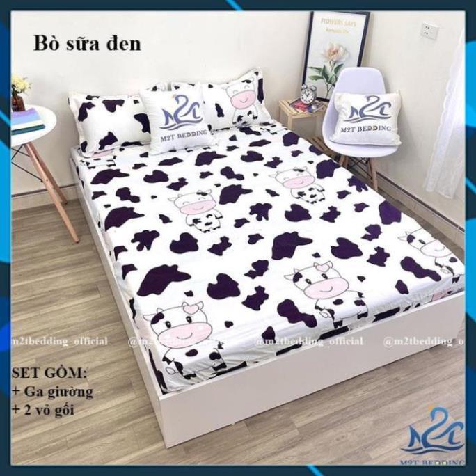 - Bộ 3 món ga gối Cotton Poly Hàn Quốc drap giường và 2 vỏ gối