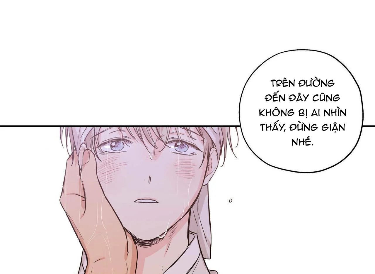 không chốn yêu đương chapter 66.5 9