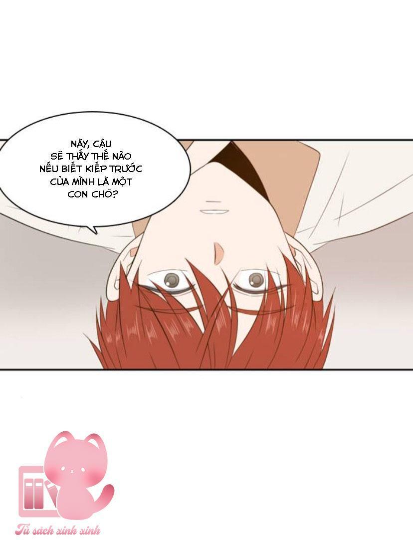 a good day to be a dog chapter 78 2