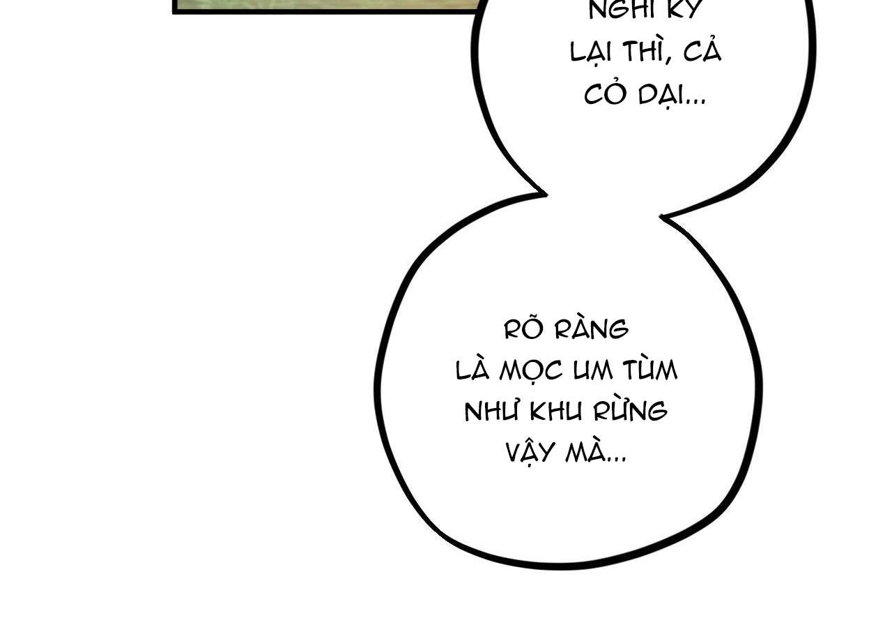 đàn thỏ của habibi chapter 29 210