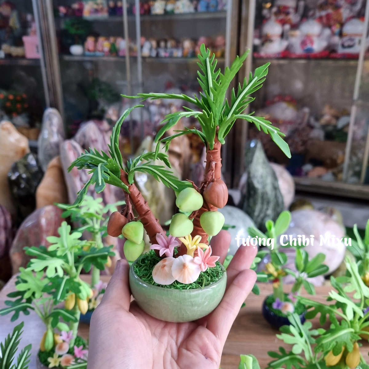 Chậu cây dừa 16cm bằng đất sét Nhật - kinh doanh thịnh vượng