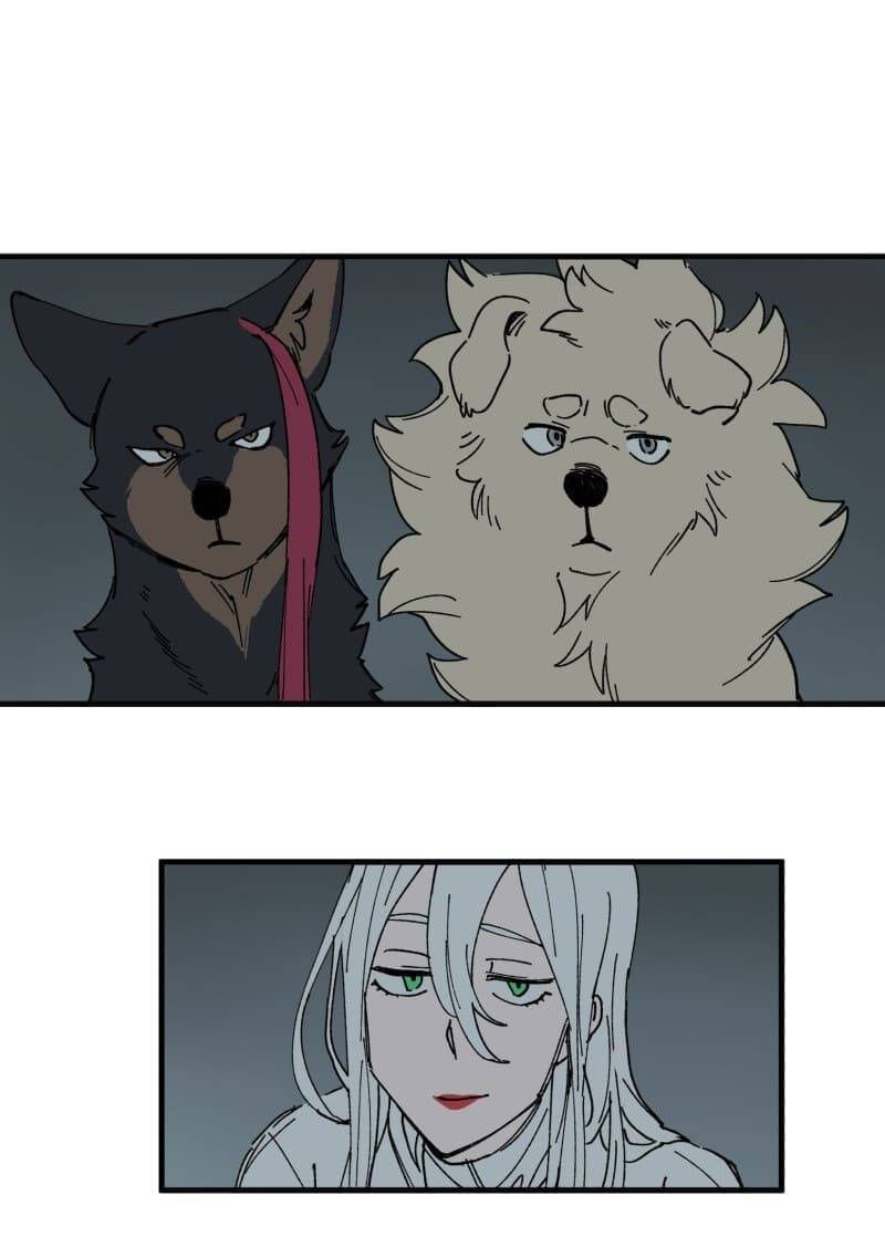 lumine - cội nguồn ánh sáng chapter 145 14