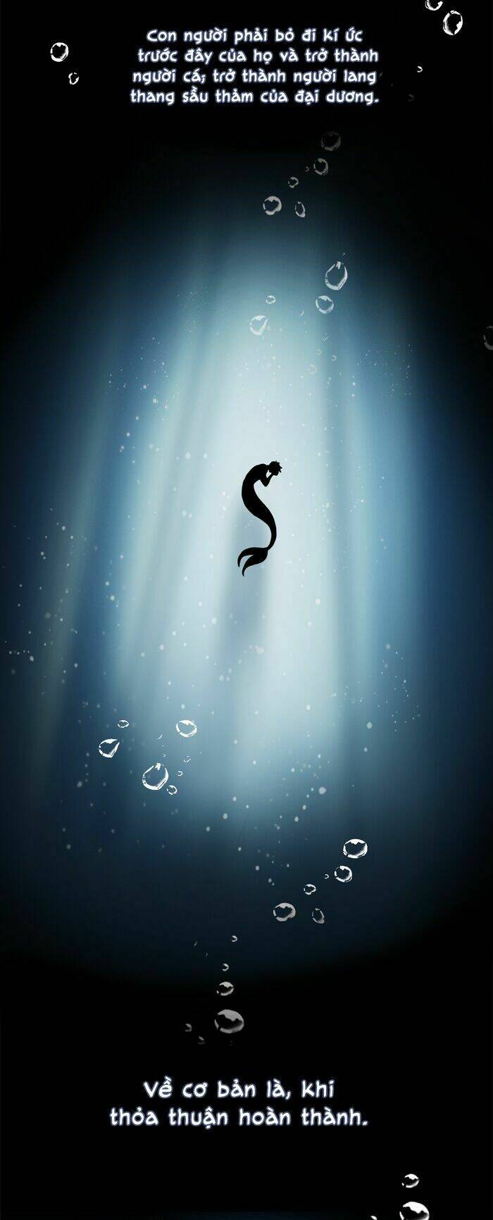 khúc hát người cá siren chapter 5 17