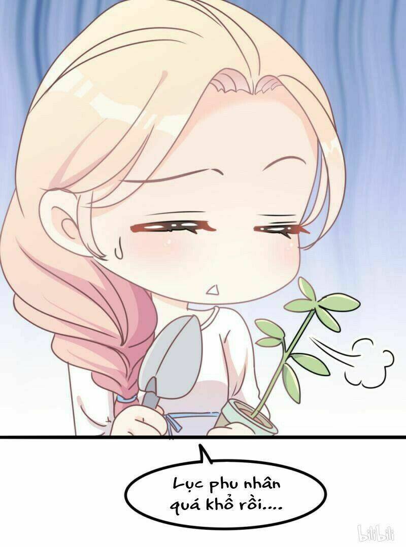 ngạo kiều tổng tài sủng điềm thê chapter 35 8