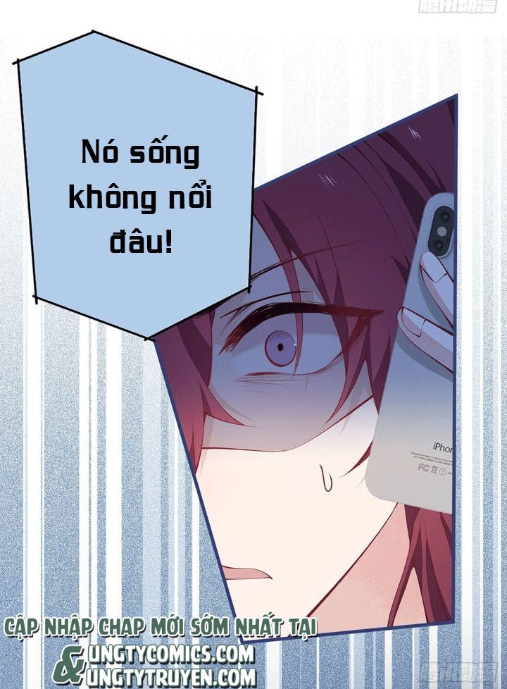 hotsearch của ảnh đế chapter 143 15