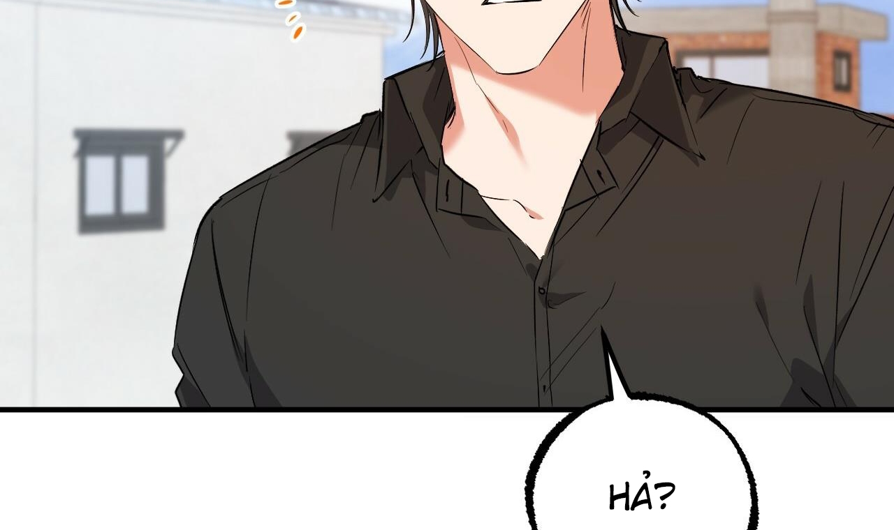 những chú thỏ của hapypy chapter 56 122