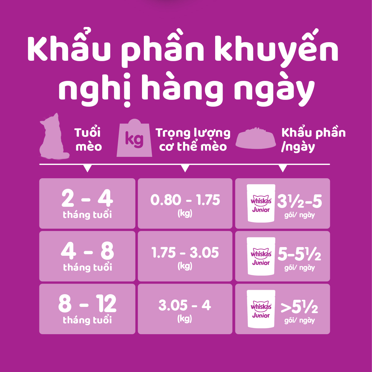 Thức ăn cho mèo con WHISKAS Junior dạng sốt – túi 80g, 24 gói