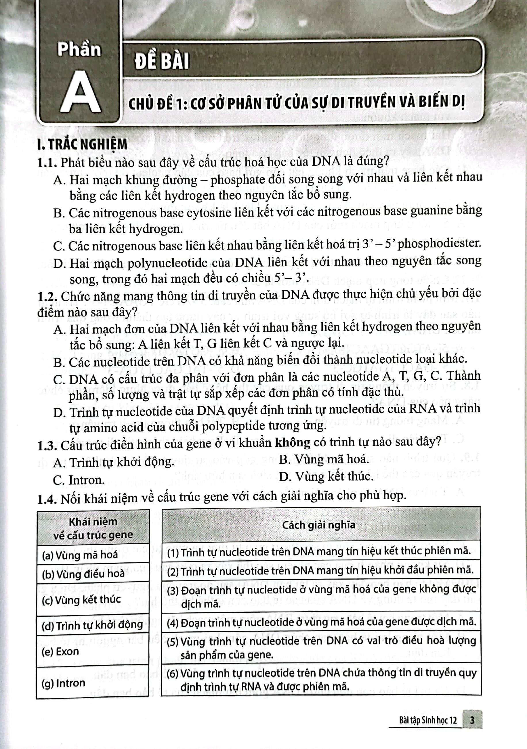 Bài Tập Sinh Học 12 (Cánh Diều) (Chuẩn)