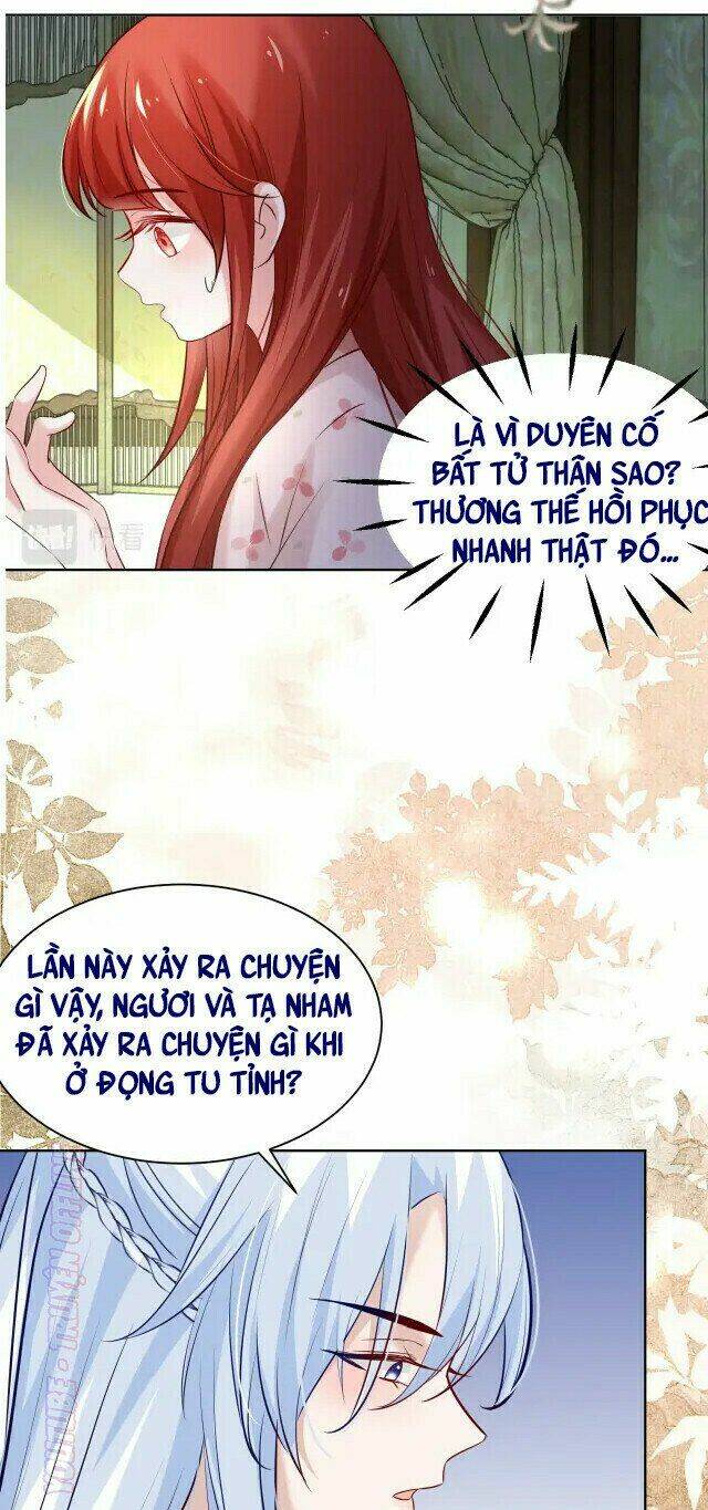 hắc hóa nam chính trực tuyến nuôi thỏ chapter 43 8