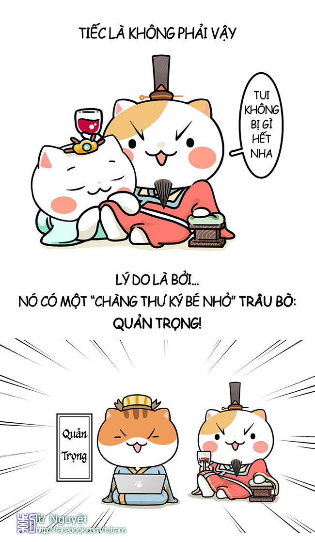 nếu lịch sử là một bầy mèo chapter 14 11