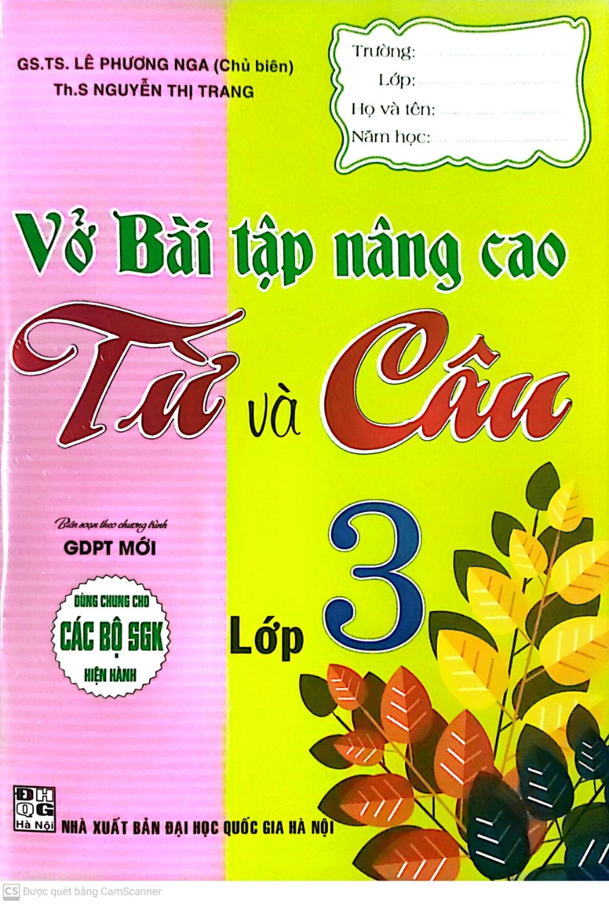 Vở Bài Tập Nâng Cao Từ Và Câu Lớp 3 ( Dùng Cho các bộ Sách giáo khoa hiện hành )