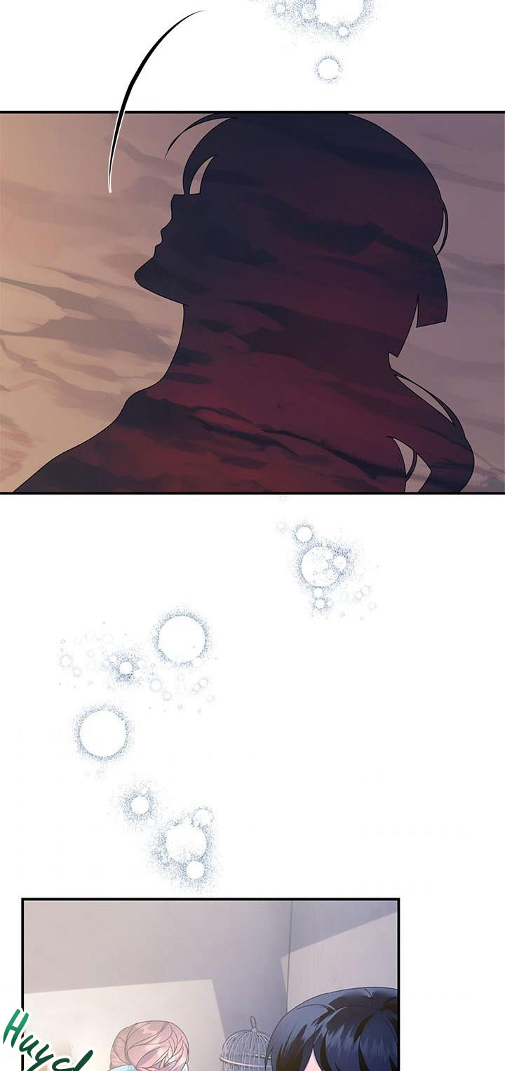 công chúa của loài chim chapter 52.1 31