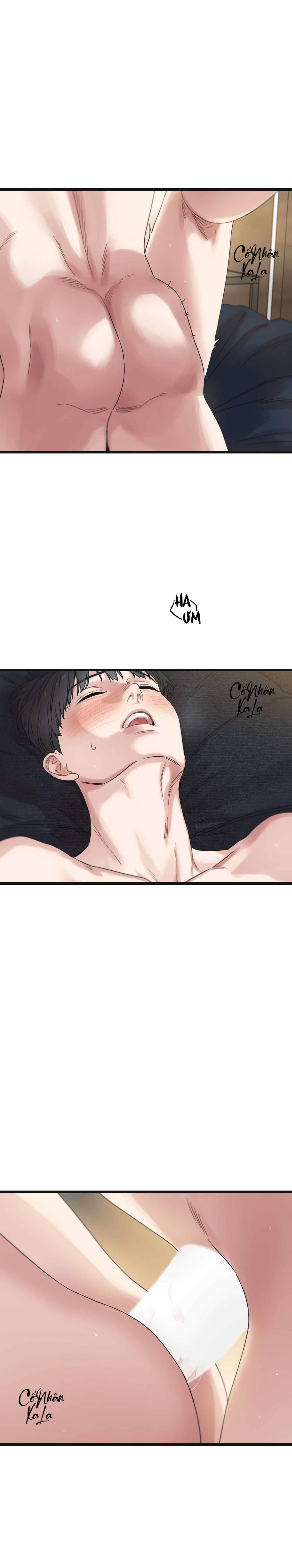 trùng phùng chapter 52 6