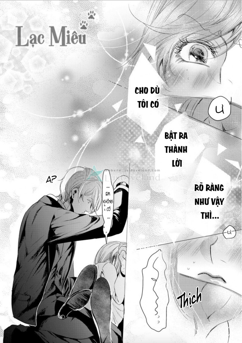 hợp đồng hôn nhân với ông trùm yakuza xấu xa chapter 10 16