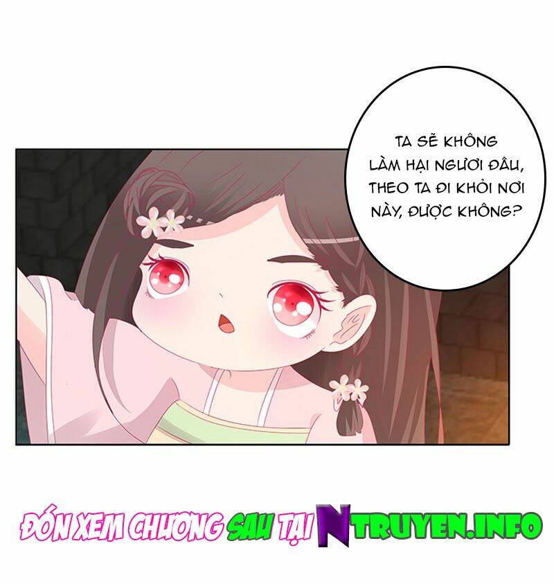 tướng quân mời ra trận chapter 77 26