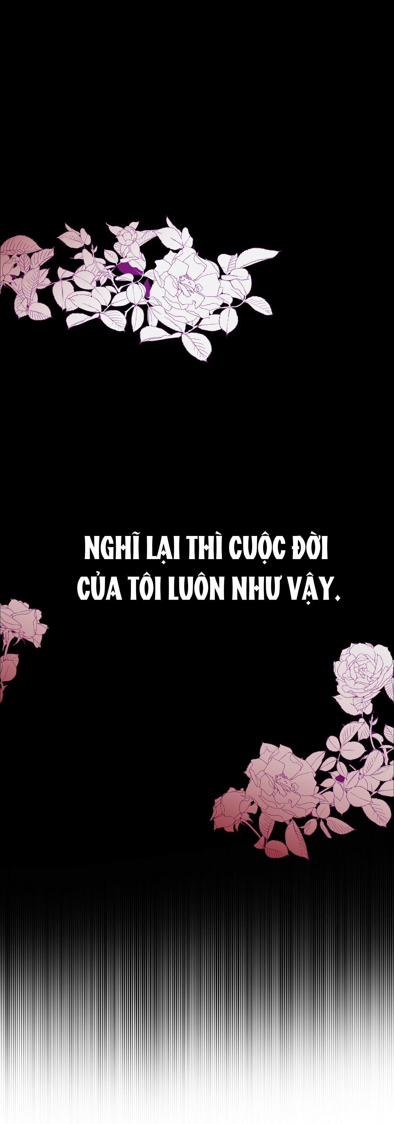 hợp đồng hôn nhân với hai người chồng chapter 1.1 26