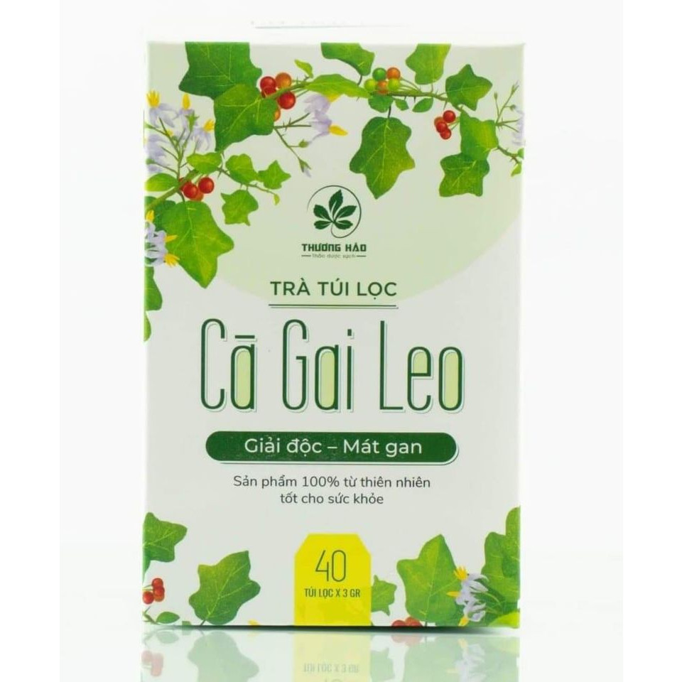 Trà túi lọc cà gai leo Hoà Bình hộp 40 gói chuẩn GACP-WHO