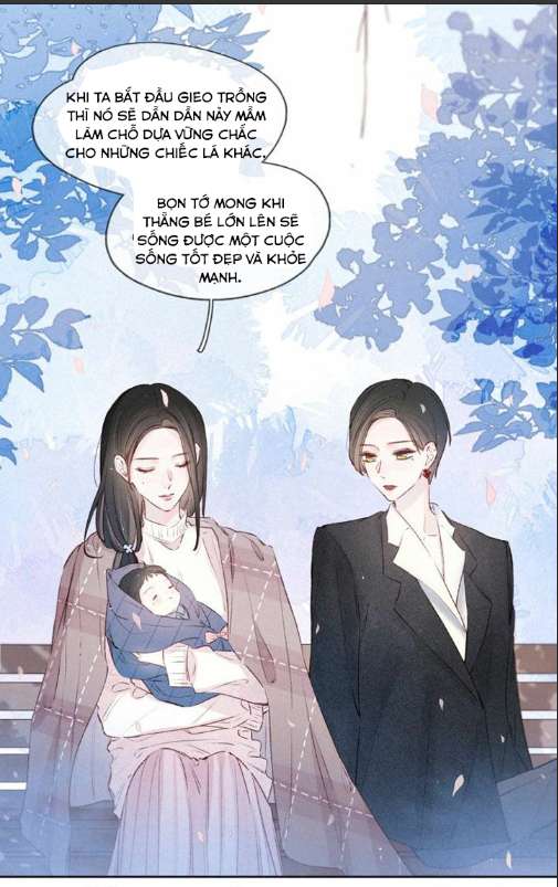 nỗi buồn của hoa cẩm tú cầu chapter 21 3