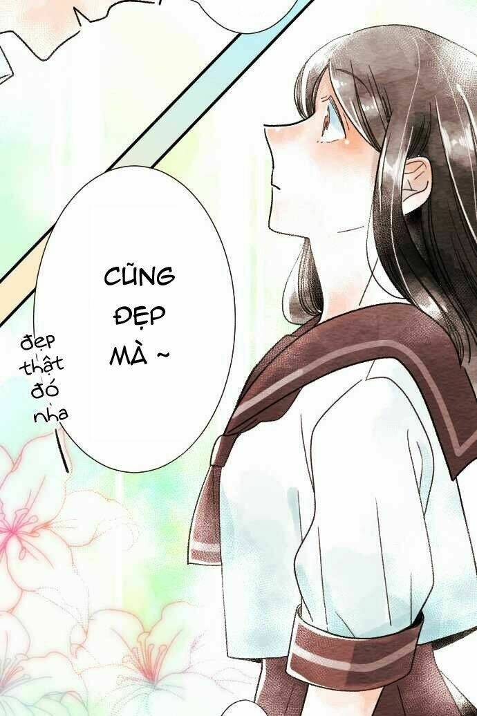 koe koi chapter 10 22