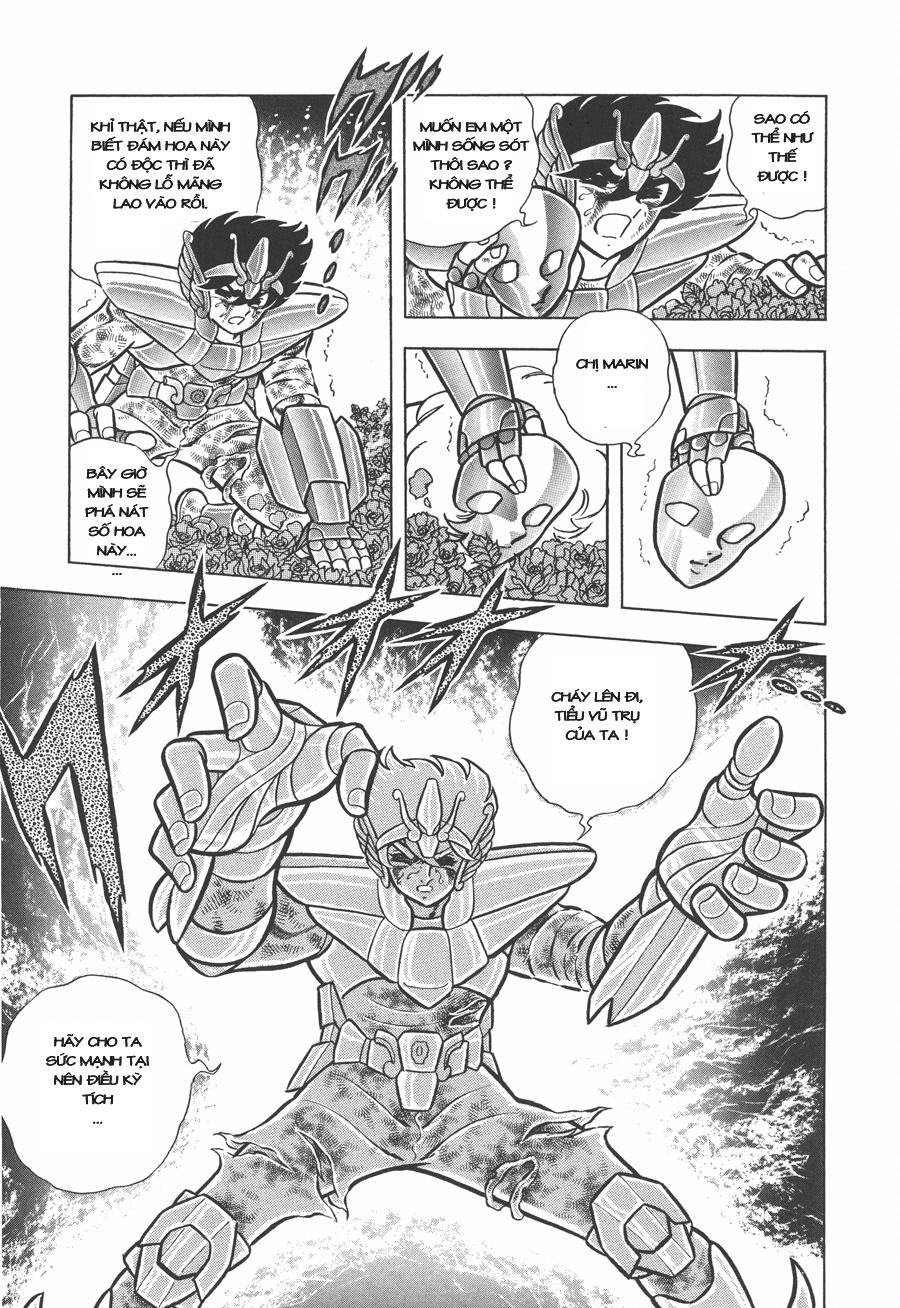 áo giáp vàng chapter 44 11