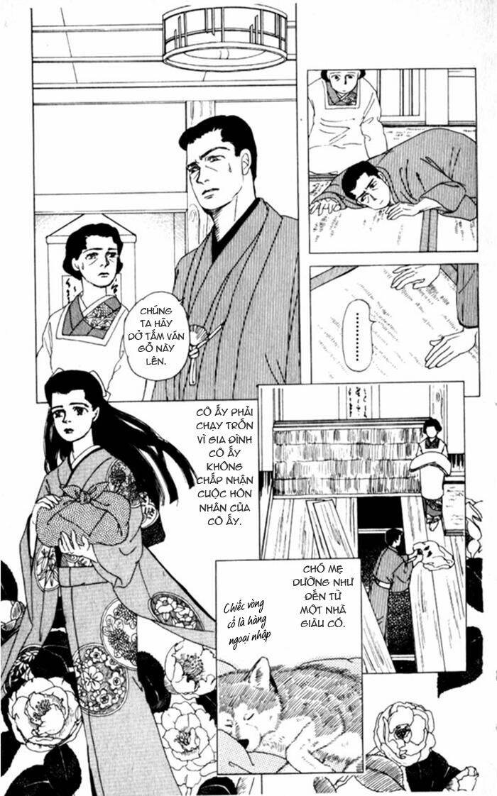 doubutsu no oishasan chapter 1 19