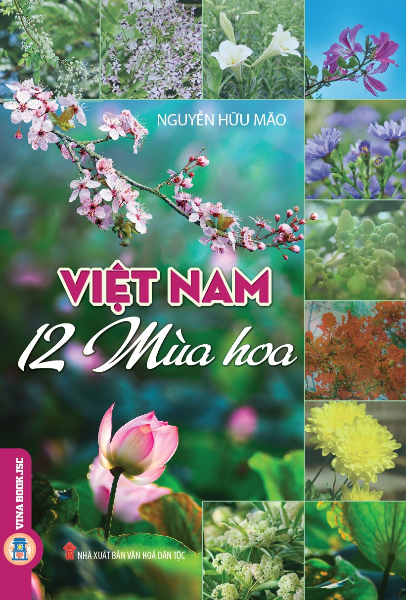 Việt Nam 12 Mùa Hoa
