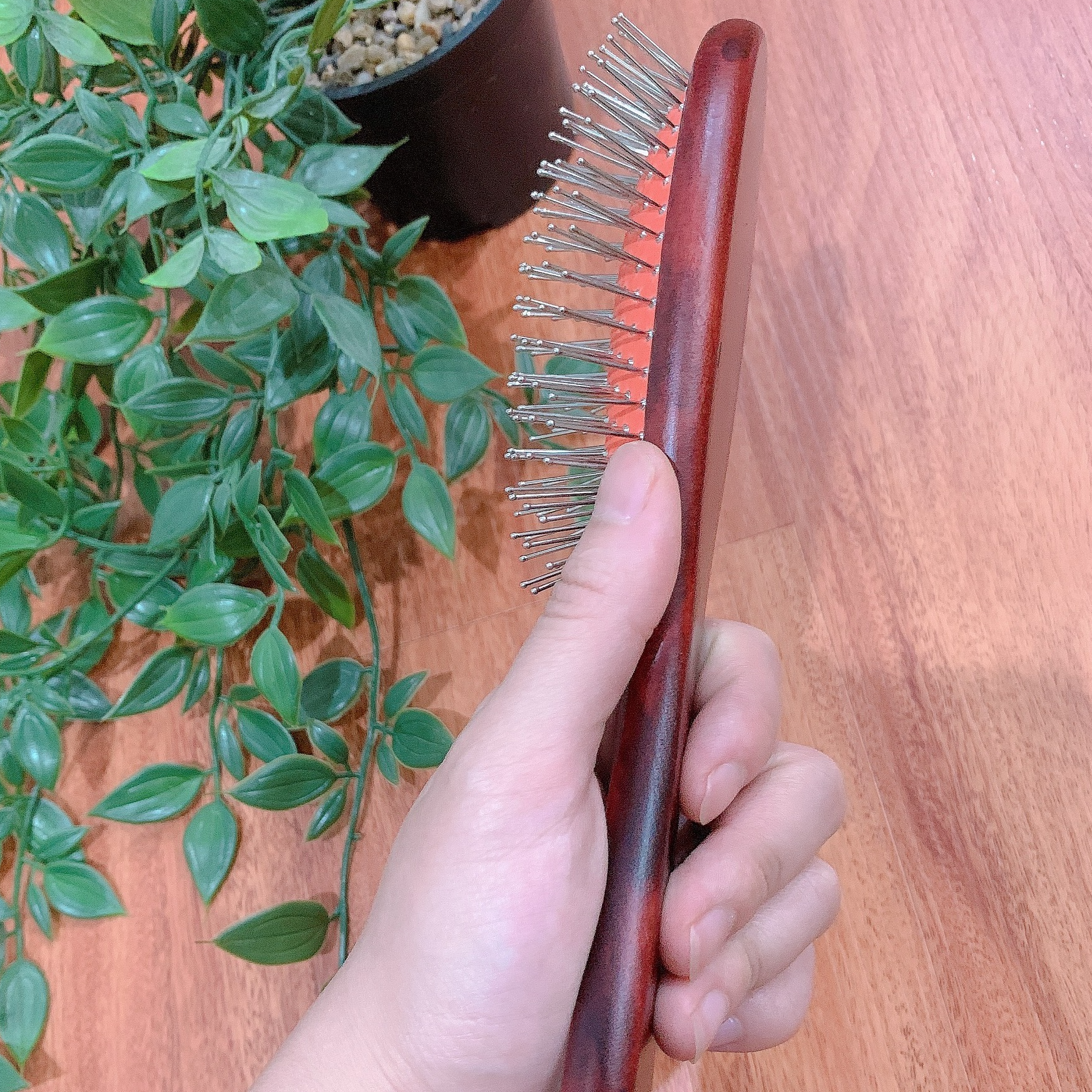 Lược massage da đầu, lược chải gỡ rối, chải tóc ướt tiện dụng Thái Lan