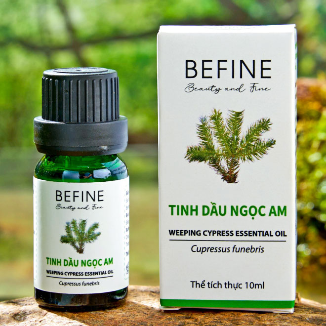 Tinh dầu ngọc am nguyên chất Befine - tinh dầu gỗ hoàng đàn họ thông cải thiện tập trung, tinh thần