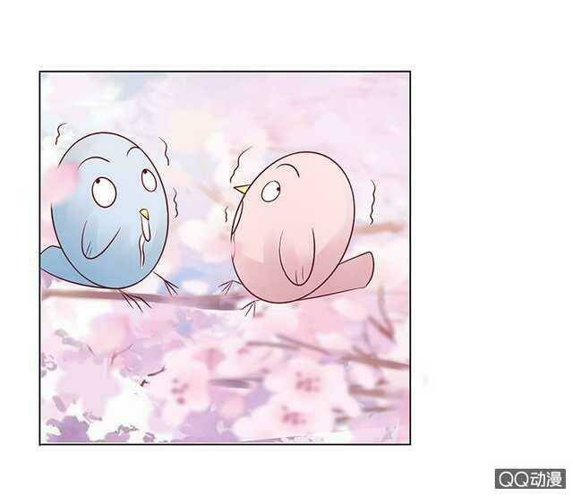 băng sơn học trưởng không được chọc chapter 40.1 13