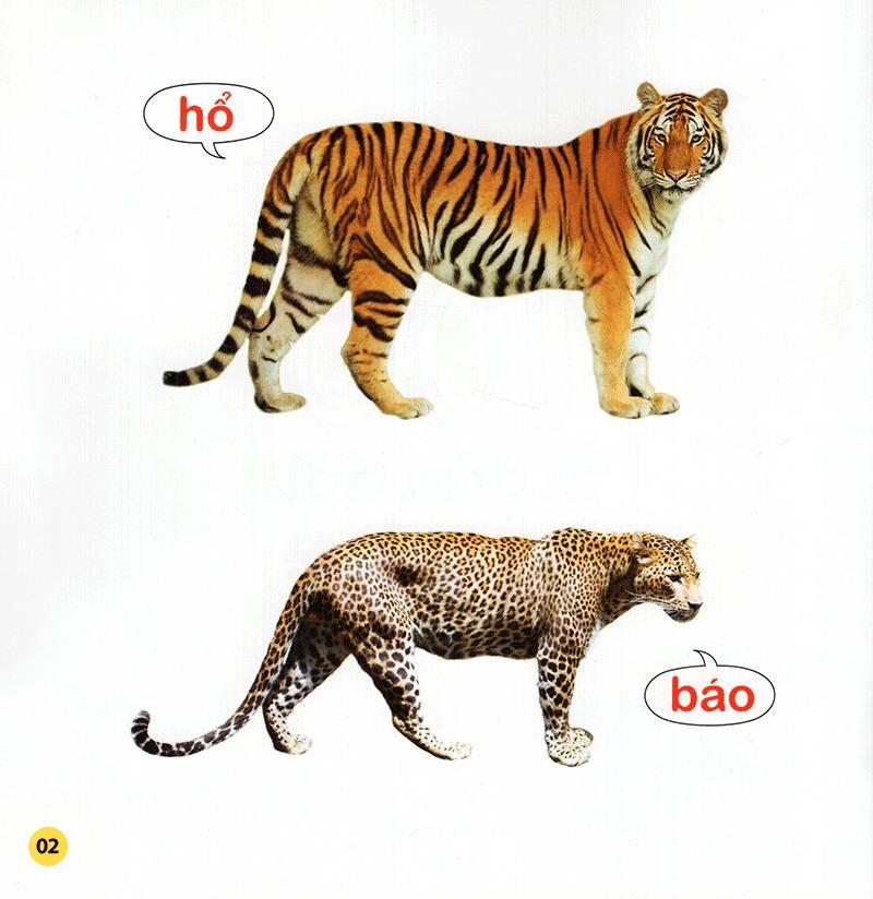 100 Từ Đầu Đời Của Bé: Con Vật (Tái Bản 2023)