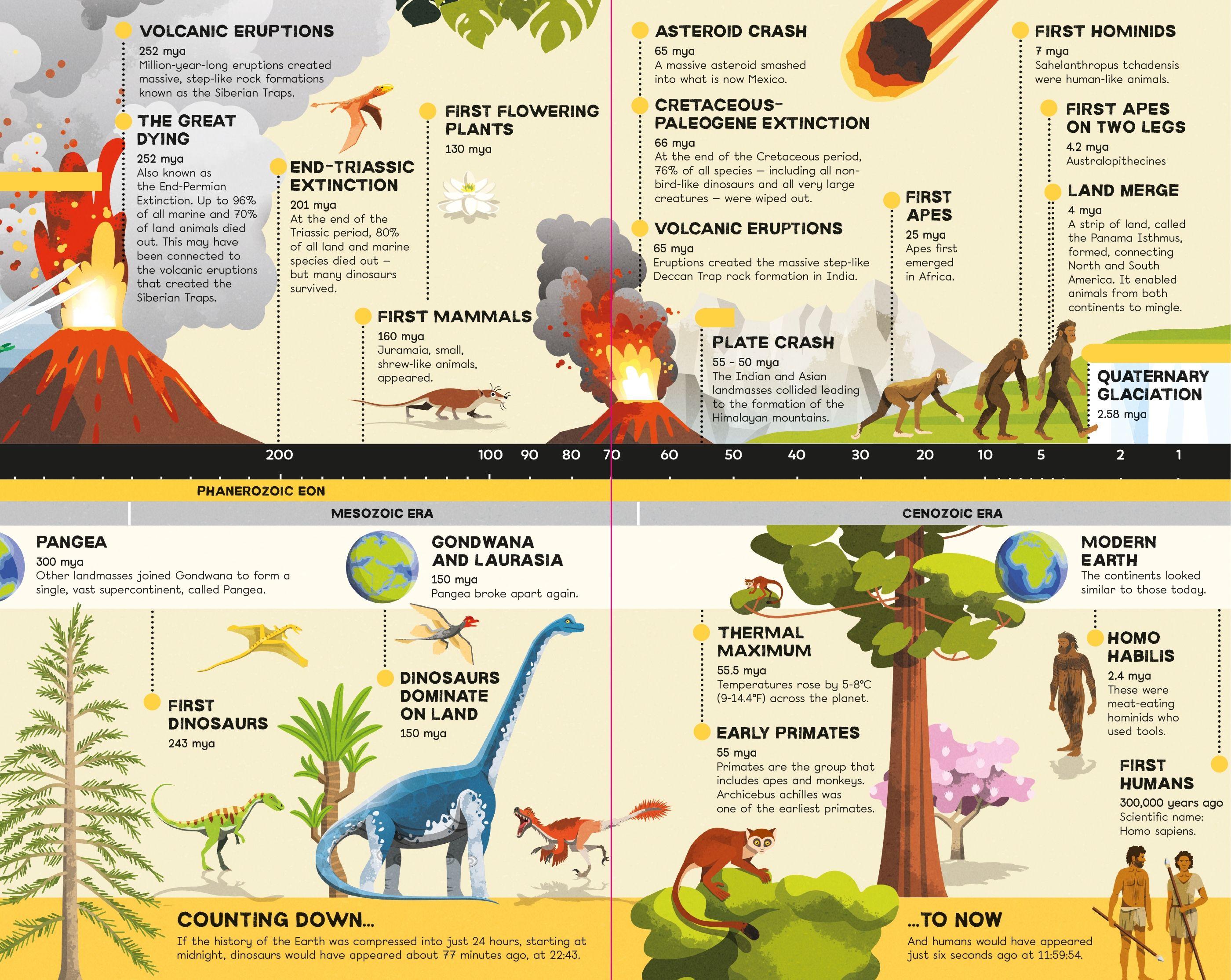 Fold-out Timeline Of Planet Earth