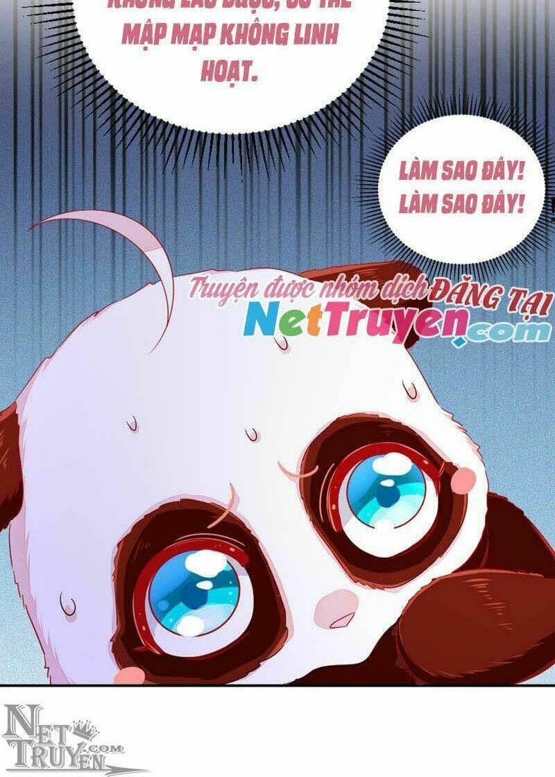 thiên thần gấu trúc muốn được ôm chapter 42 8