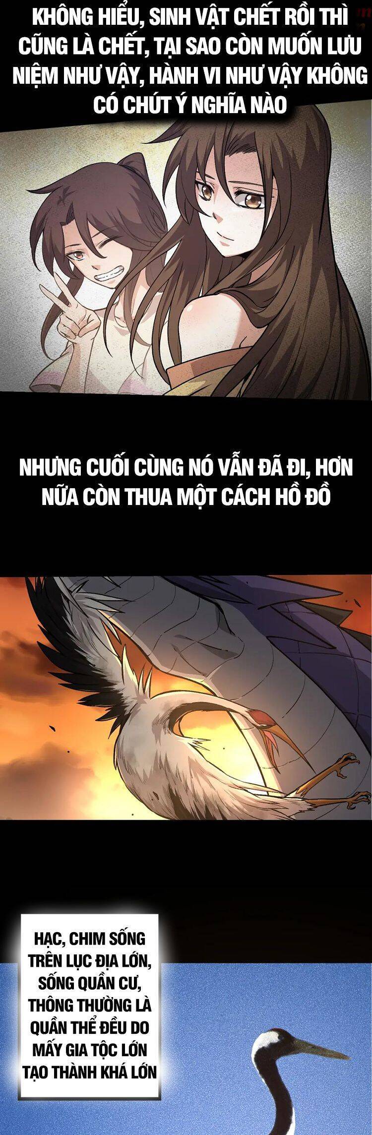 chuyển sinh thành liễu đột biến chapter 54 26