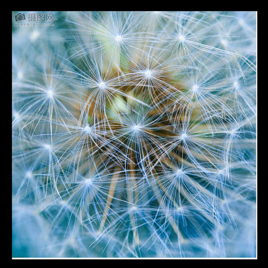 4 Pieces Durable Nylon Universal Kayak Canoe Dinghy Boat Carry Handle Pull Handle Grip with Braided Cord Replacement Accessories