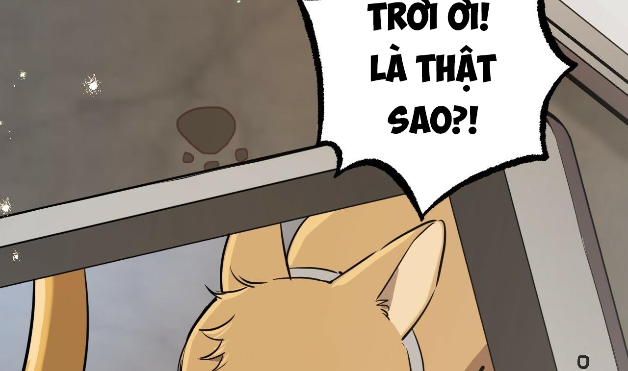 đàn thỏ của habibi chapter 48 72