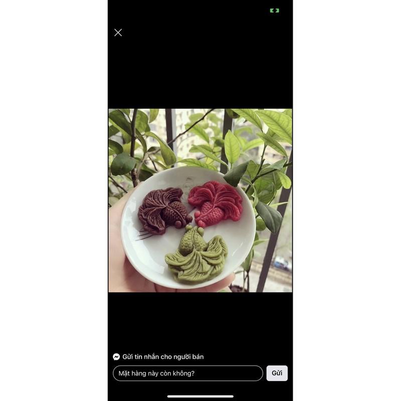 Khuôn cá vàng đôi xoè