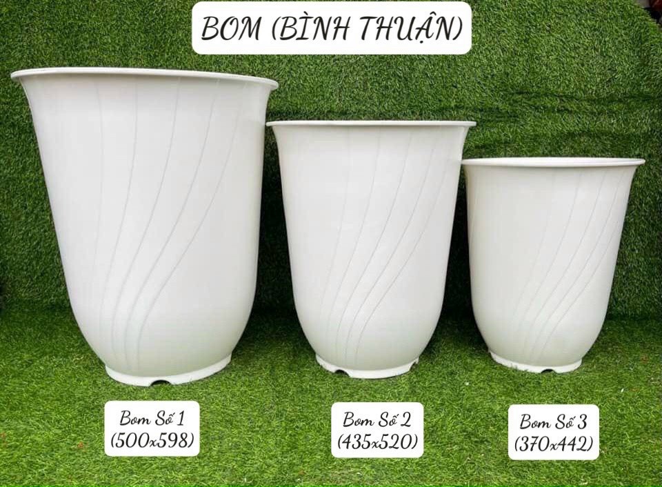 Chậu nhựa trắng size 50*60