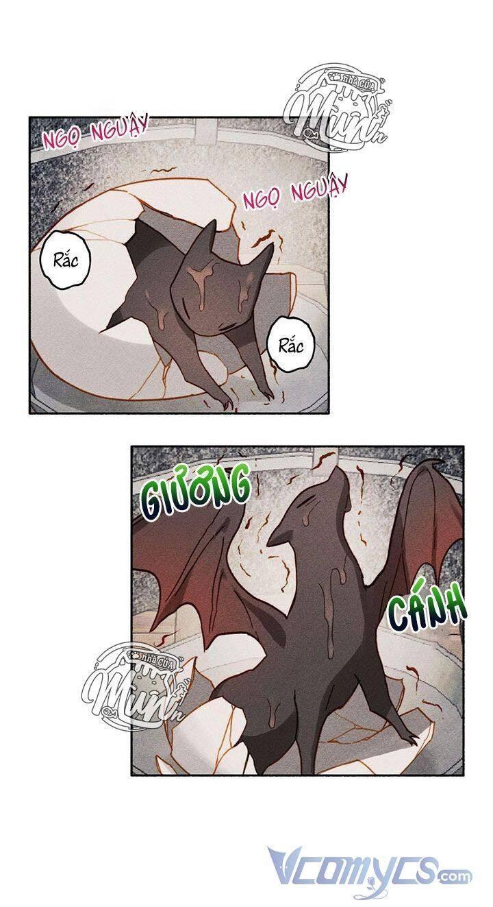 nuôi dưỡng một hắc long chapter 1 10