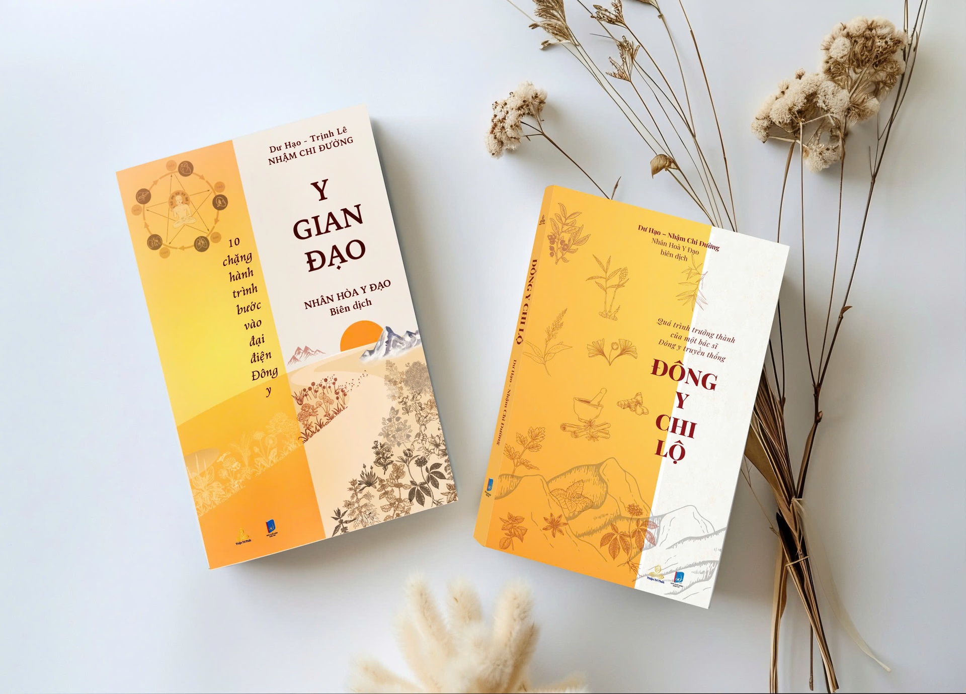 Y Gian Đạo - 10 chặng hành trình bước vào đại điện Đông y