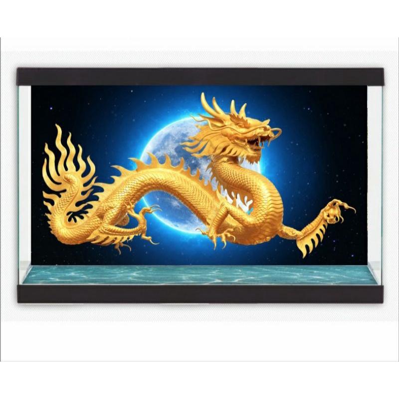 TRANH 3D DÁN HỒ CÁ _DECAL VIP