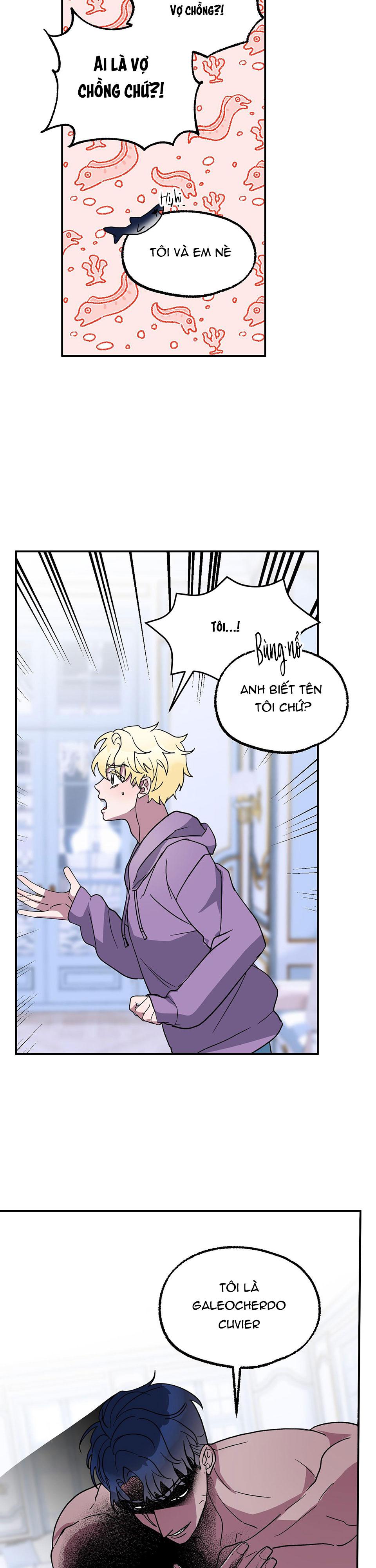 cá mập và cô dâu thỏ chapter 4 19