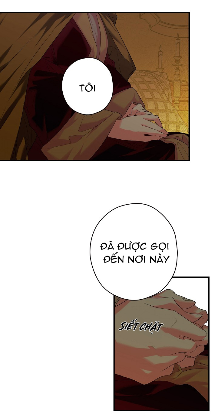 tiểu thư bí ẩn chapter 7 25