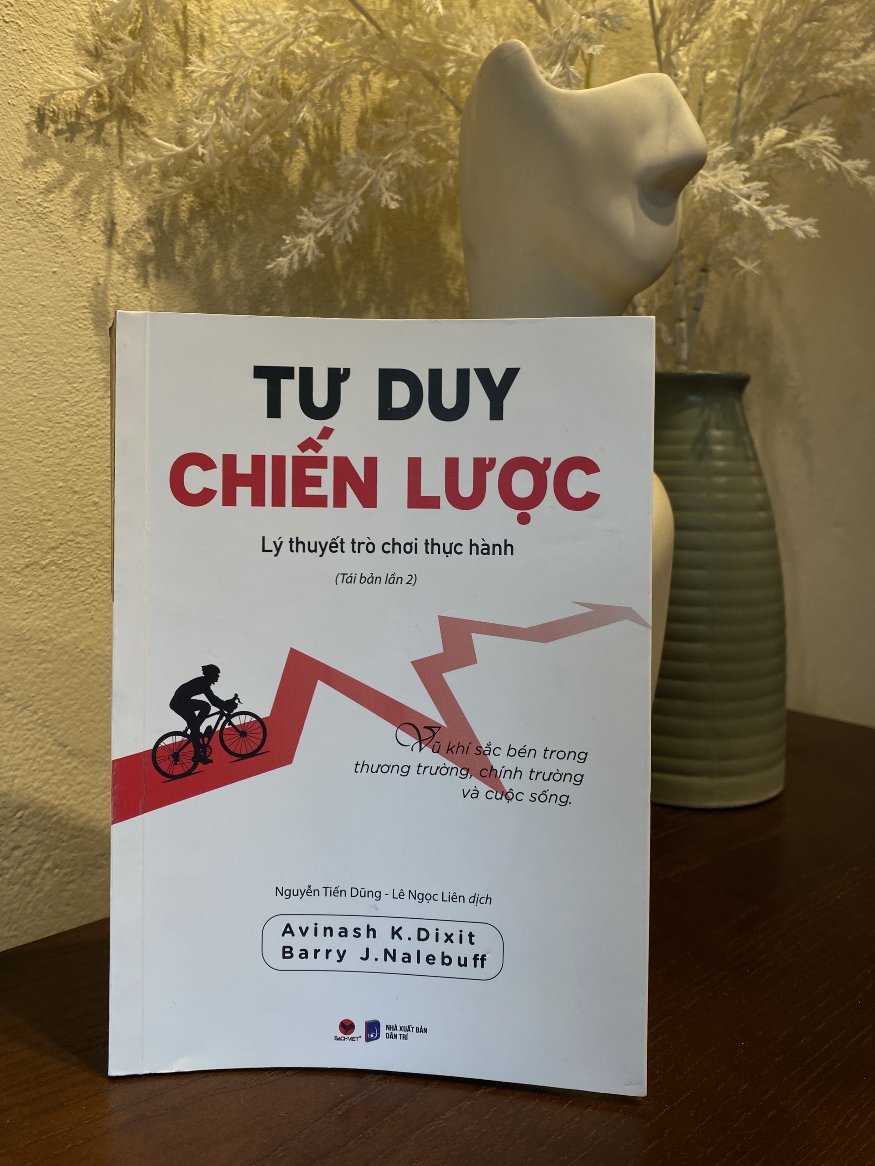 Sách - Tư duy chiến lược - Lý thuyết trò chơi thực hành
