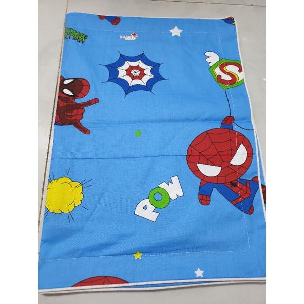 Cặp Áo gối cotton [Cao Cấp] 40x60/50x70