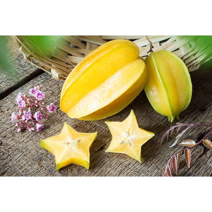 Cây Giống Khế ngọt THÁI LAN - GIỐNG MỚI - NĂNG SUẤT CAO