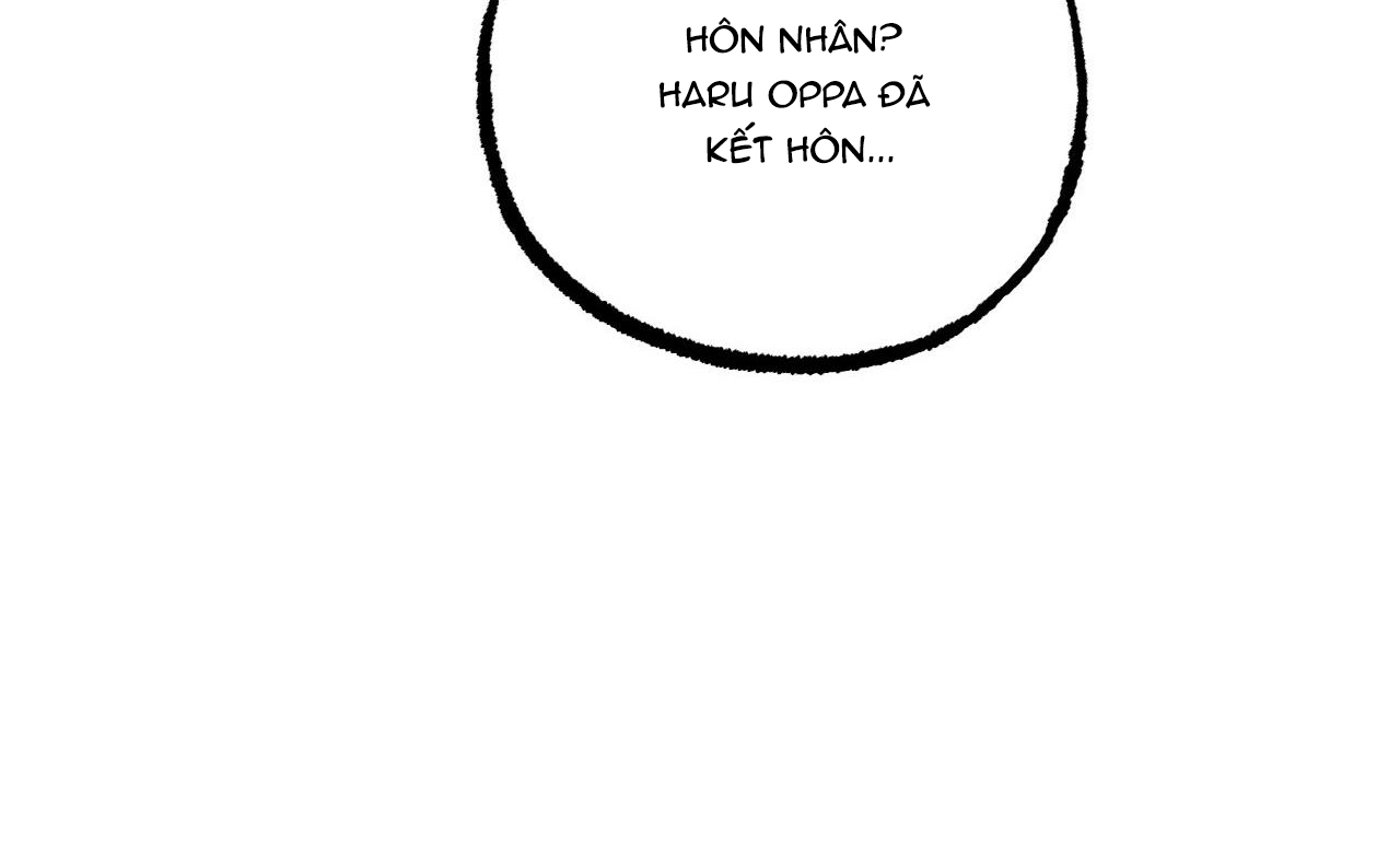 đàn thỏ của habibi chapter 41 40