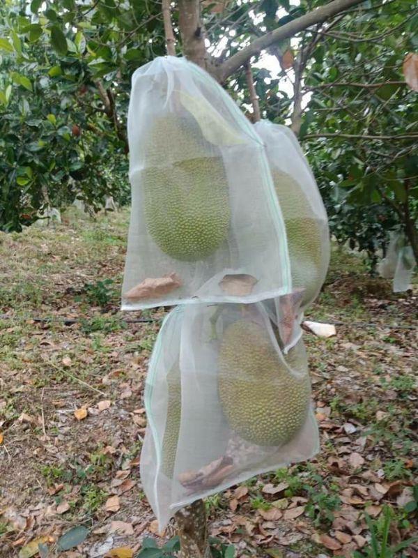 20 Túi Vải Lưới Bọc Mít kích thước 50x70cm Siêu Bền -Chống Ruồi, Chim, Côn Trùng Hút Chích, Chịu Nắng Mưa Qu